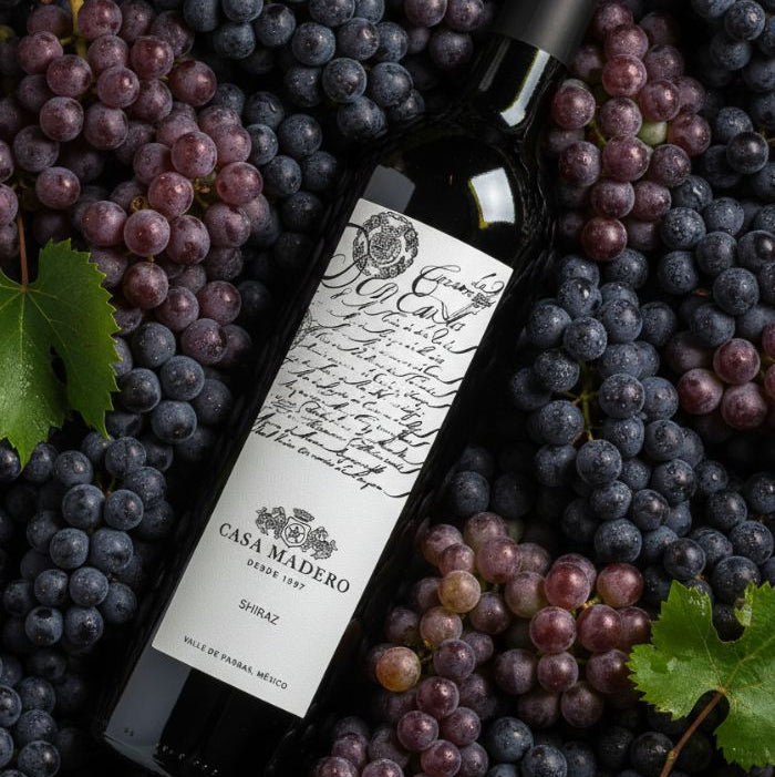Vino Tinto Casa Madero Shiraz 750 ml