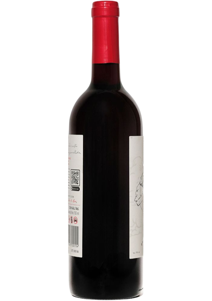 Vino Tinto El Avión de Juguette 750 mL