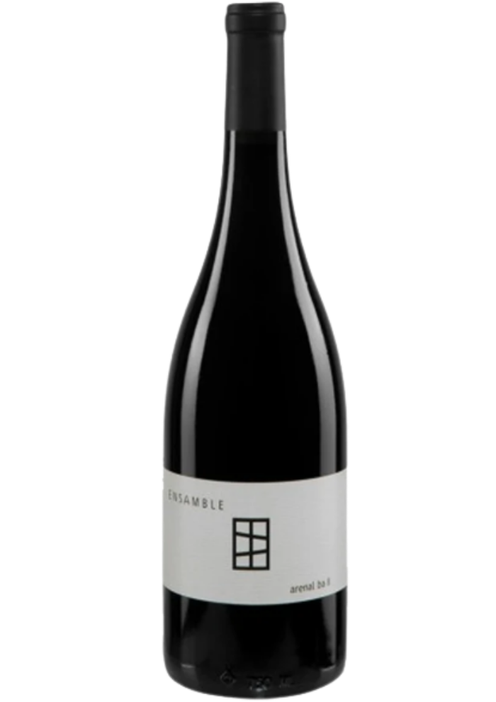 Vino Tinto Ensamble Arenal 750 mL