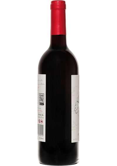 Vino Tinto El Avión de Juguette 750 mL