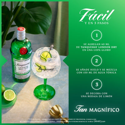 Ginebra Tanqueray London Dry Herbal 750 ml