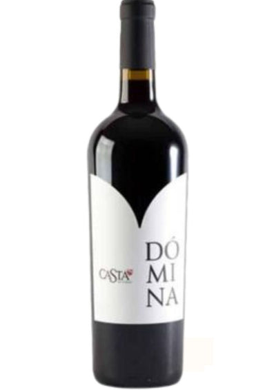 Vino Tinto Casta Domina Merlot 750 mL