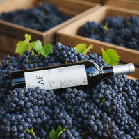 Vino Tinto Casa Madero 3V 750 mL