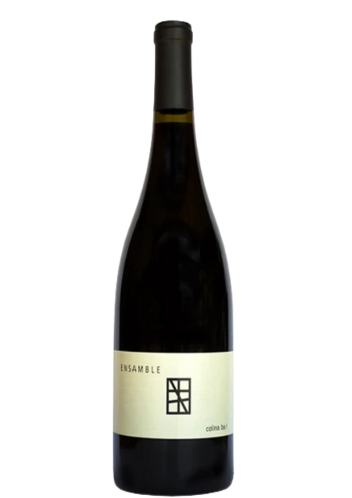 Vino Tinto Ensamble Colina Ba I 750 mL