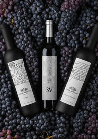 Paquete Conoce Casa Madero